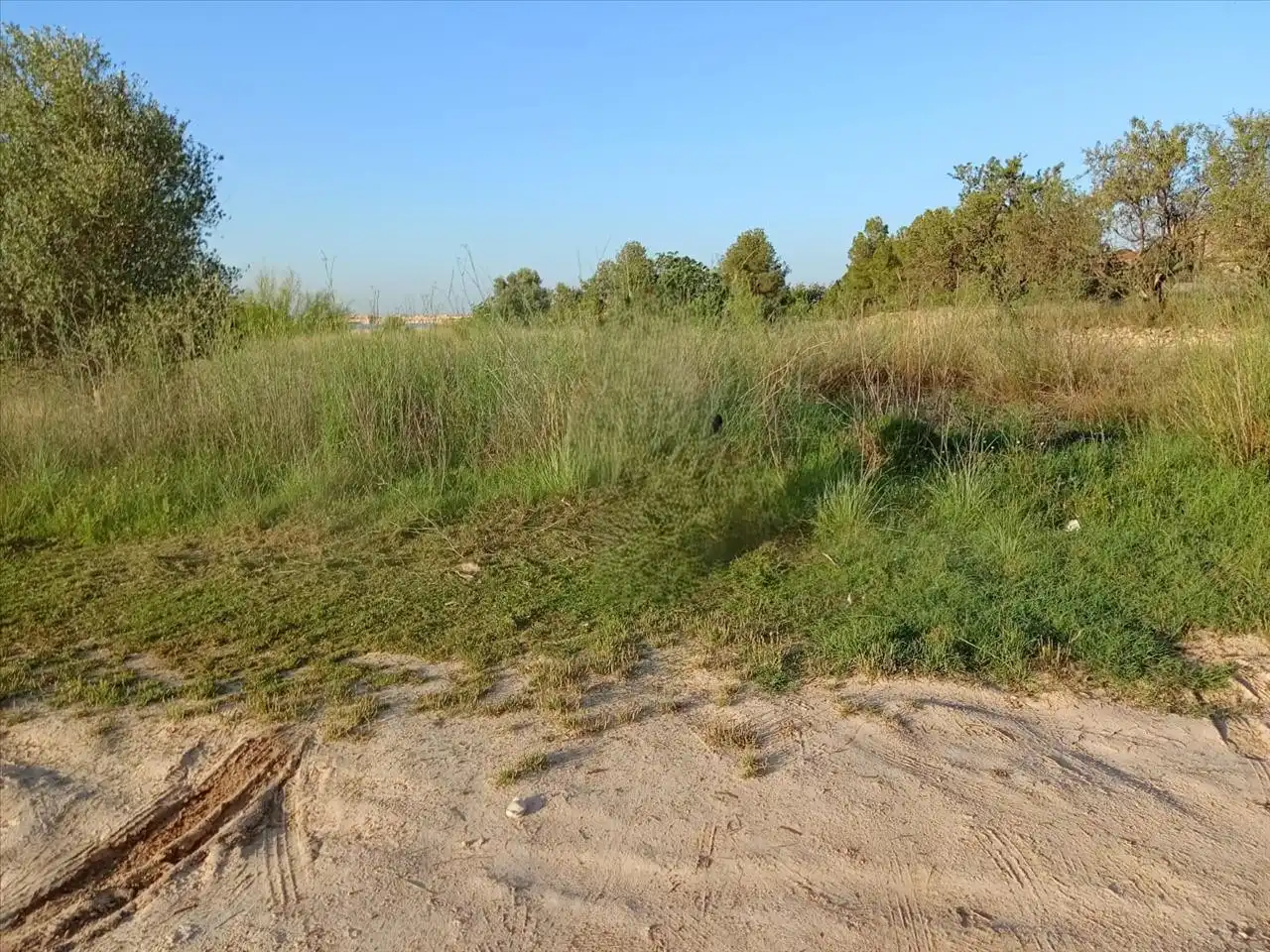 Wohnbaugrundstück zum Verkauf in 49, PARCELA, imagen 4