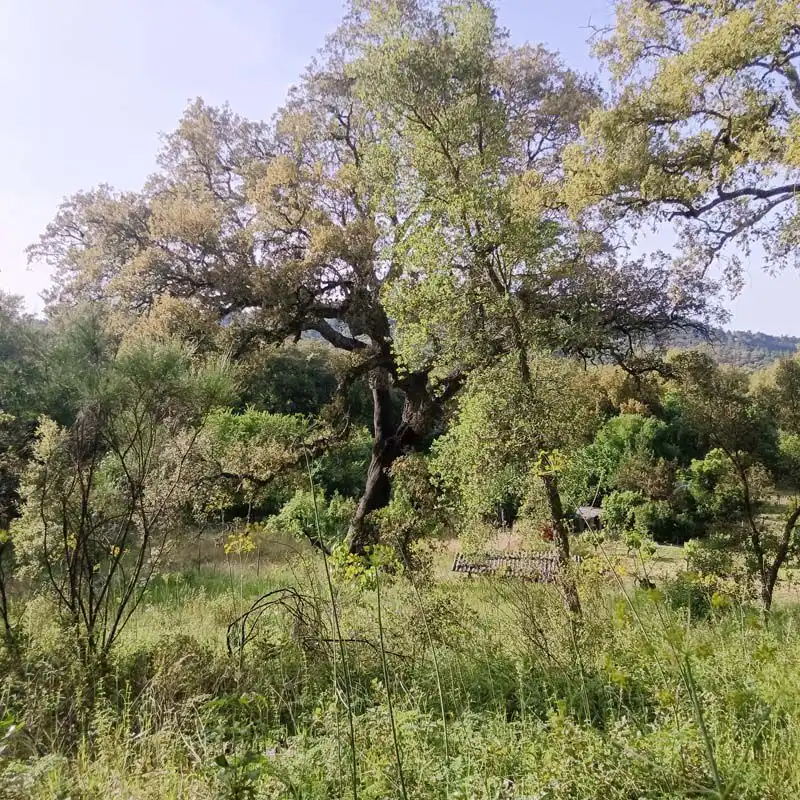 Terreni e lotti in vendita a Los Marines