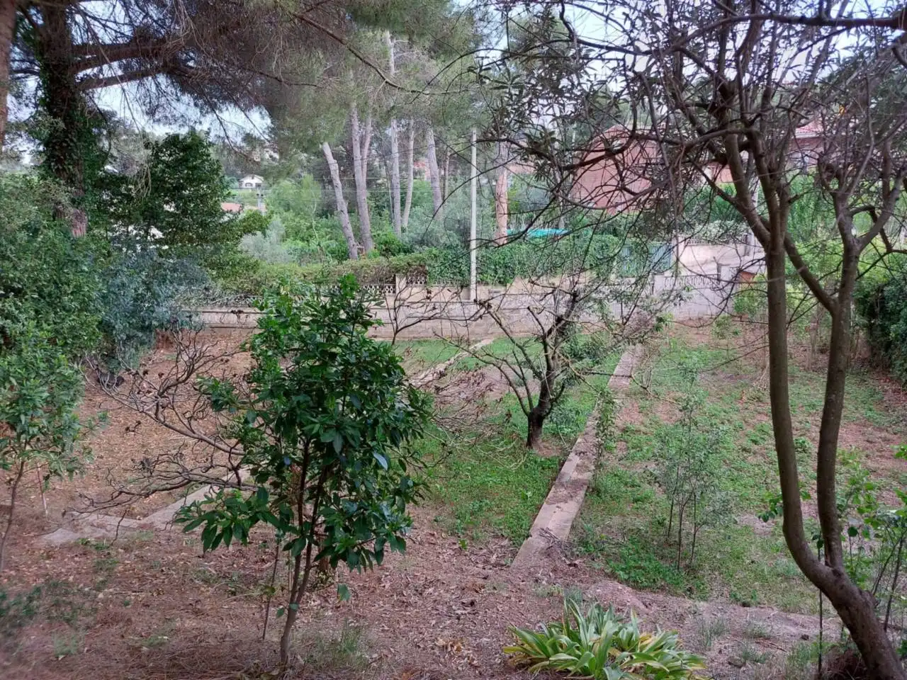 Residential land for sale in Calle Cova Simanya, imagen 15