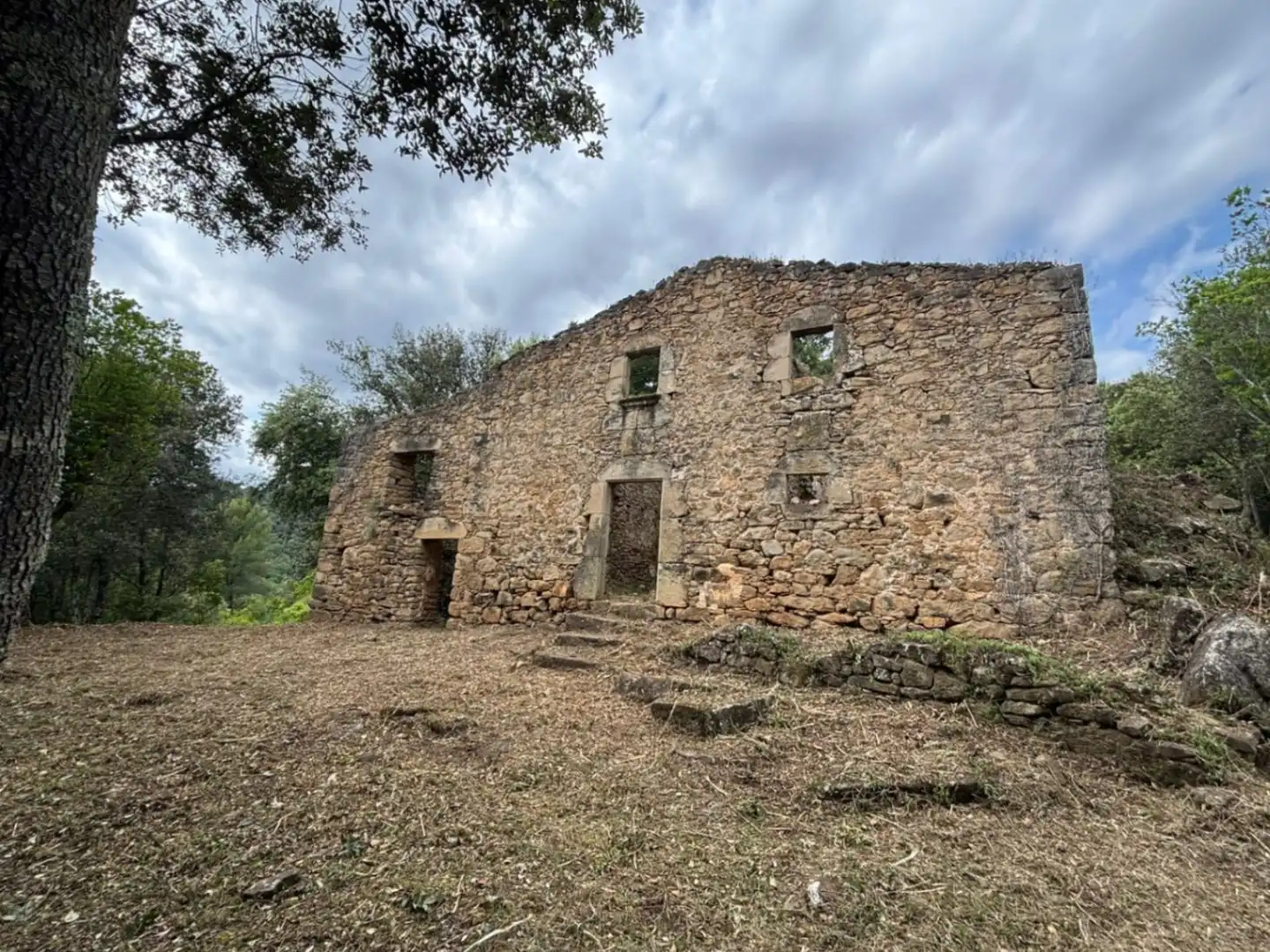 Vista exterior de Finca rústica en venta en Palol de Revardit