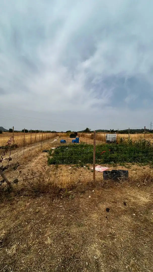 Rural land for sale in Sineu, imagen 12