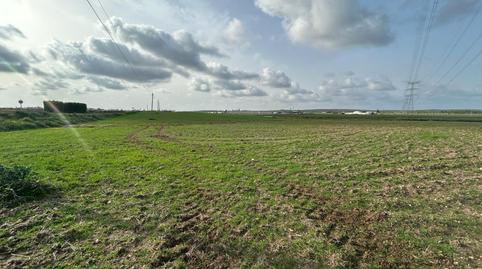 Foto 5 von Grundstücke zum Verkauf in Centro, Utrera