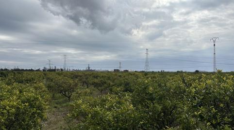 Foto 2 de Finca rústica en venda a Vinamargo, Rafalafena, Castellón de la Plana / Castelló de la Plana