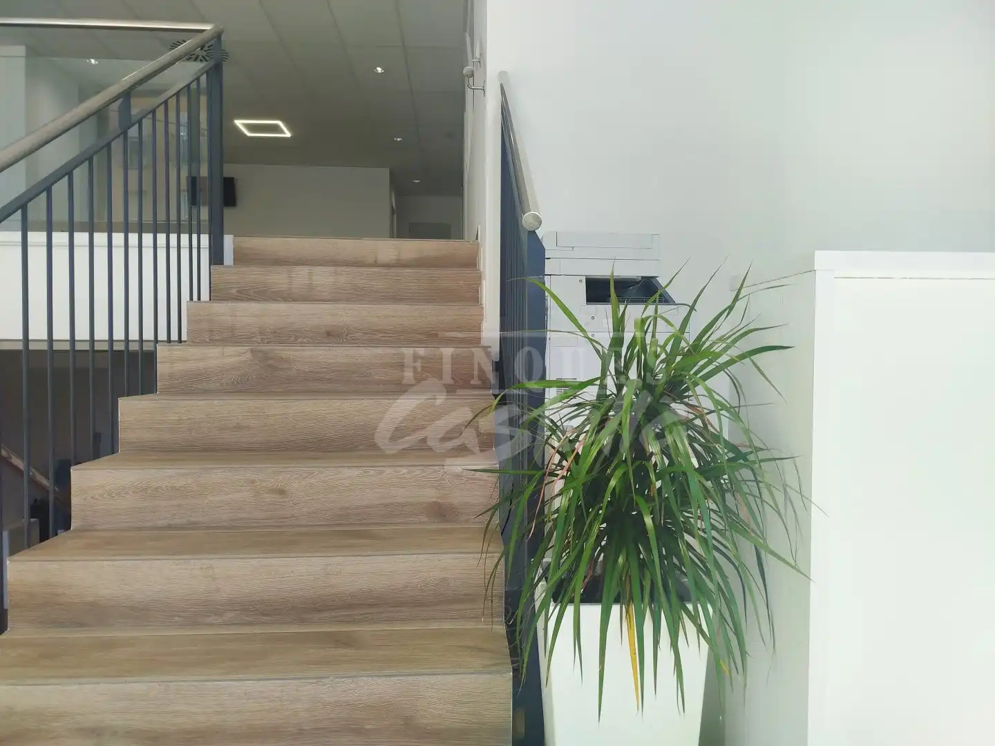 Business premises to rent in Els Molins, imagen 4