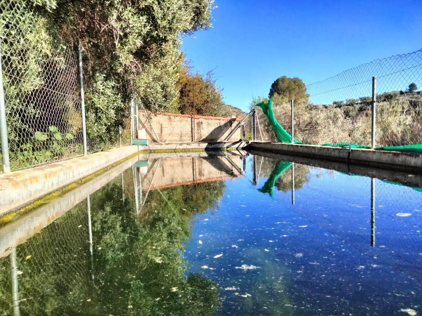 Terrenys i solars en venda a Bullas, imagen 4