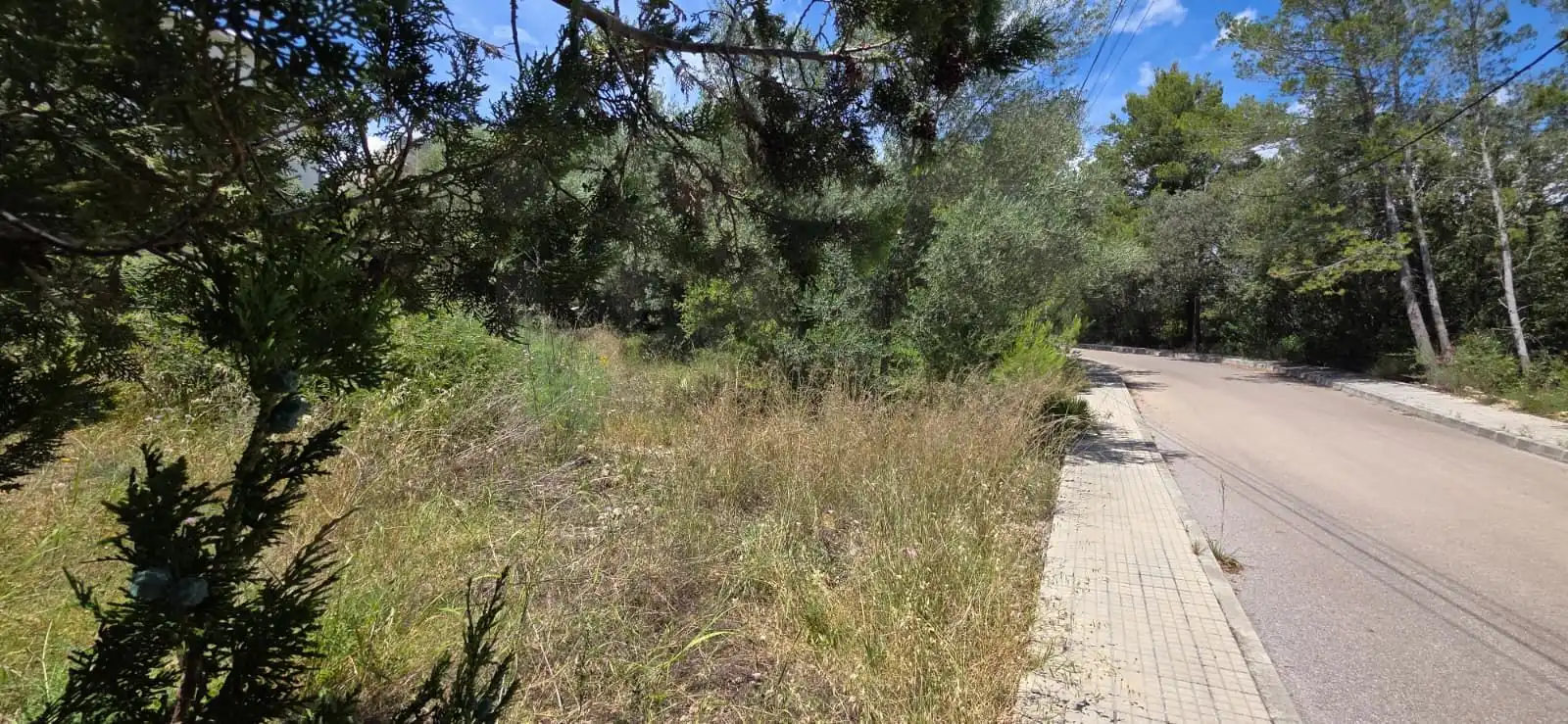 Terreny residencial en venda a Carrer de Son Puça 75, imagen 4