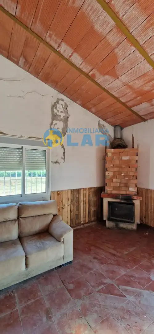 Rural land for sale in Moguer, imagen 7