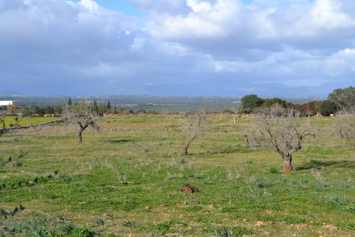 Maison rustique à vendre à Manacor Centre, imagen 7