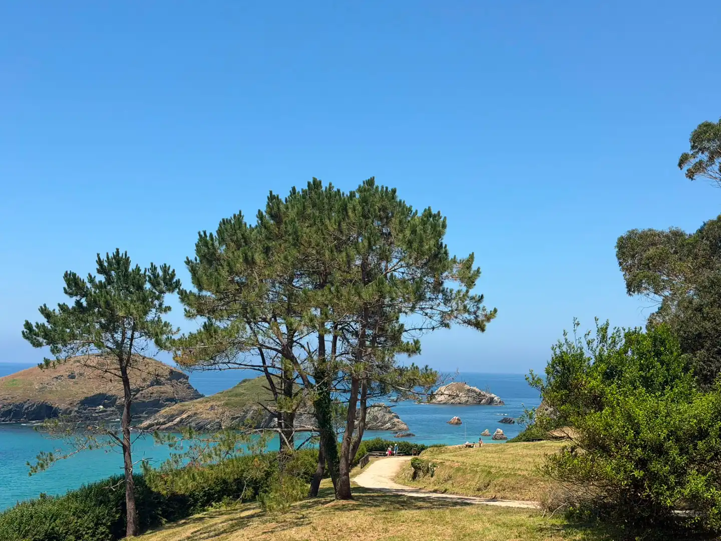 Vista exterior de Planta baja de alquiler en El Franco  con Calefacción, Jardín privado y Parquet