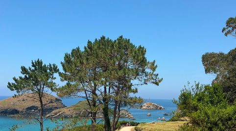 Foto 5 de Planta baja de alquiler en N/a, -1, El Franco , Asturias