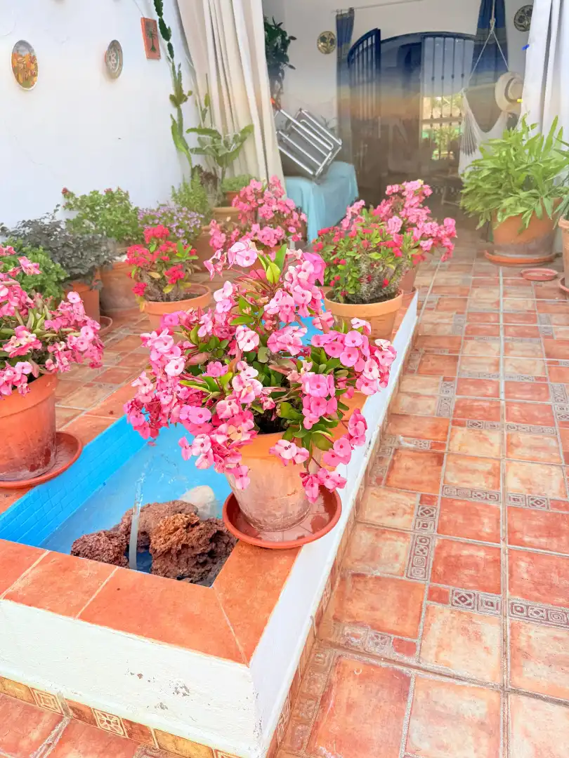 Garden of Detached homes for sale in Álora  with Air Conditioner, Terrace and Oven