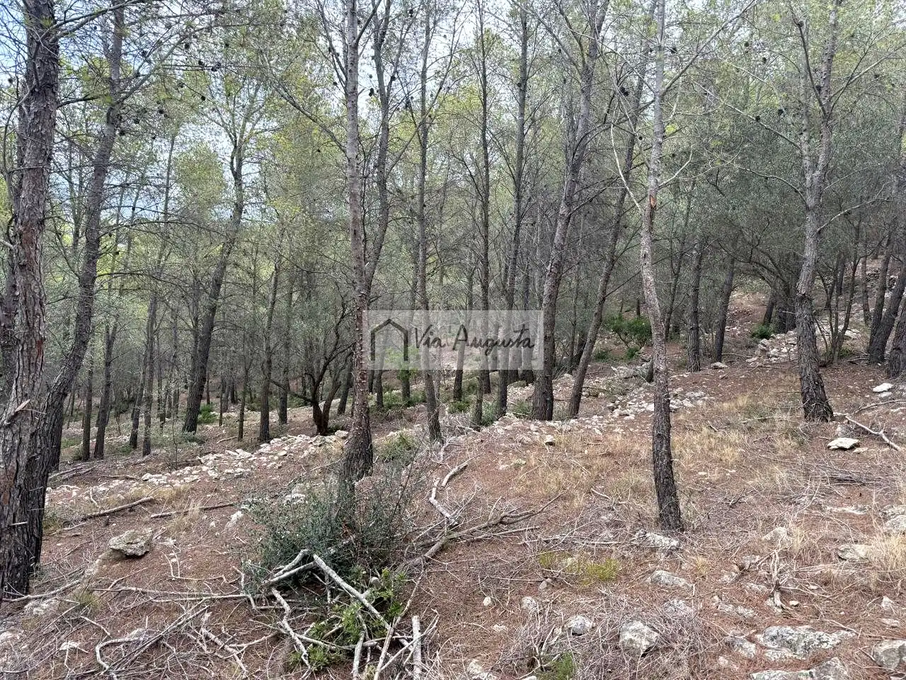 Terreno rústico en venta en Racons, imagen 7