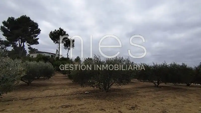 Rustikales Grundstück zum Verkauf in CANA MURTA 0, imagen 15