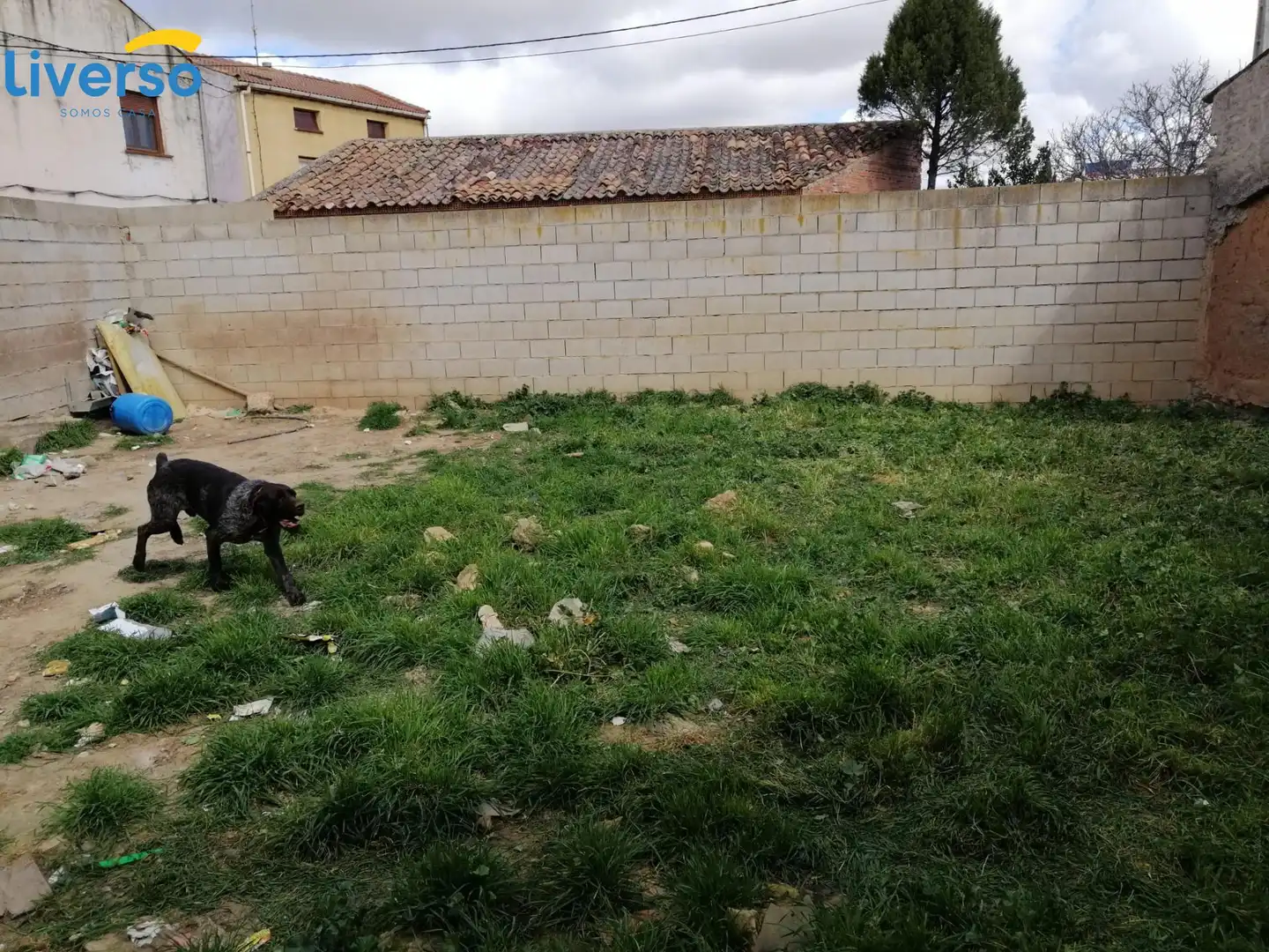 Terreny residencial en venda a Zona Rural, imagen 7