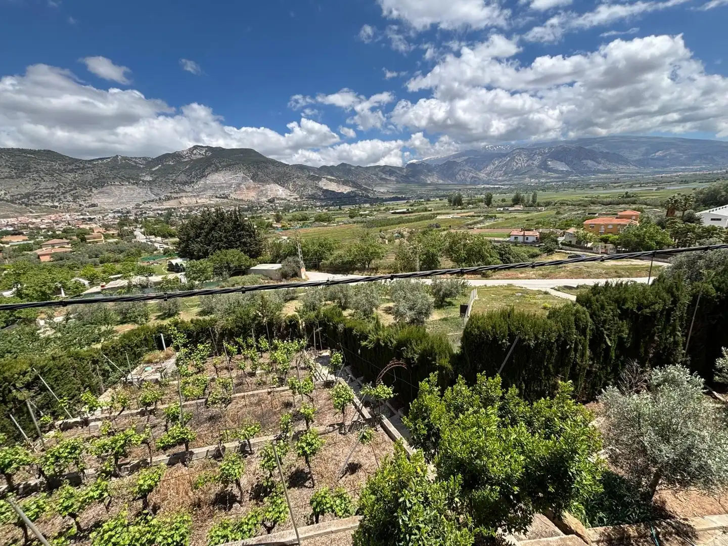 Detached house with pool for sale in CAMINO VIEJO DE MOTRIL, imagen 68