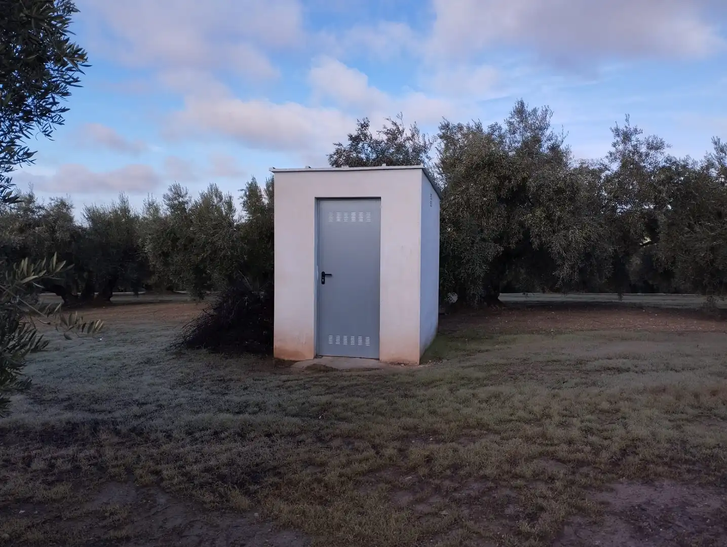 Vista exterior de Finca rústica en venta en Cabra
