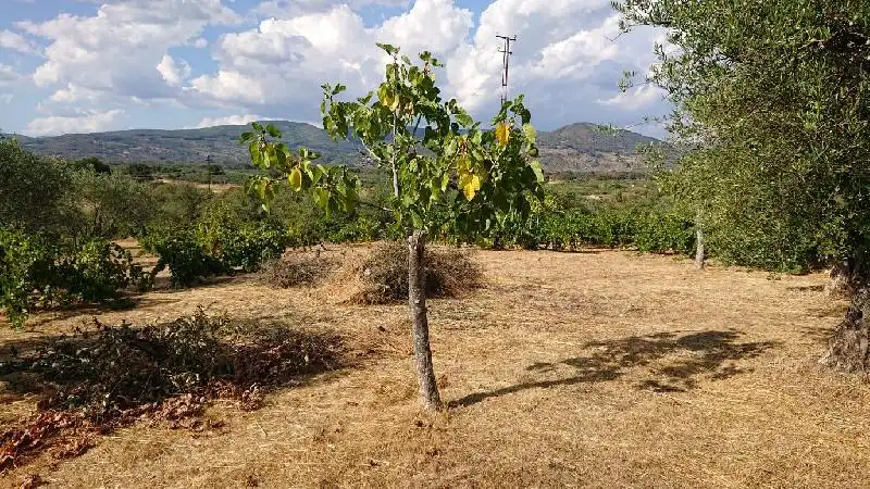 Terreni e lotti in vendita a Tejeda de Tiétar, imagen 8