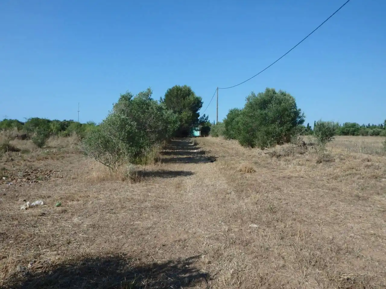 Rural land for sale in Carretera dels emprius, imagen 8