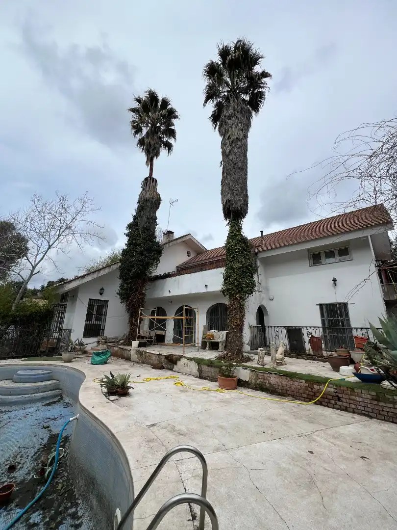 Vista exterior de Casa o chalet en venta en Villanueva de la Cañada con Jardín privado, Terraza y Piscina