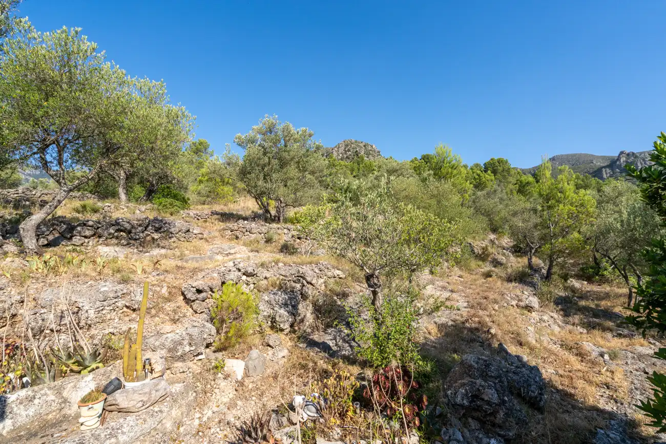 Grundstücke zum Verkauf in Roquetes