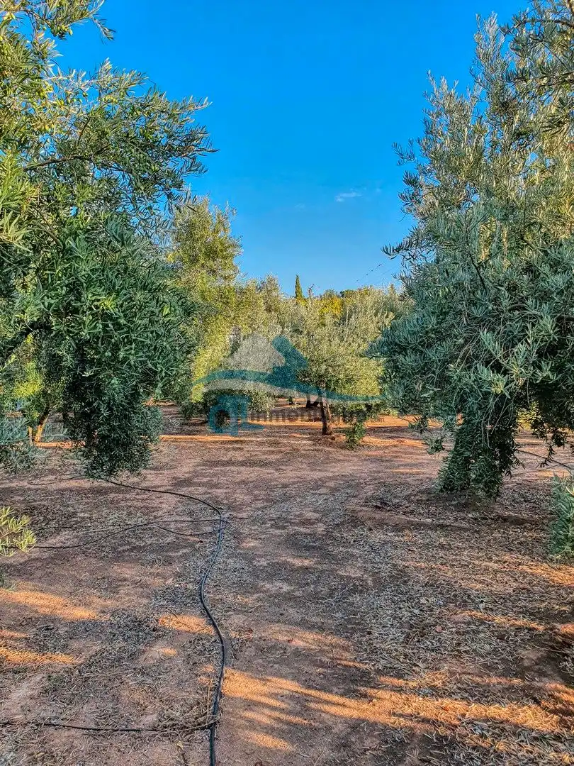 Casa o xalet en venda en Linares amb Jardí privat i Piscina