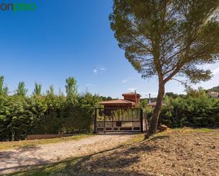 Garden of Land for sale in Iznalloz