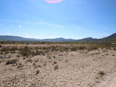 Terreno rustico in vendita a Jumilla