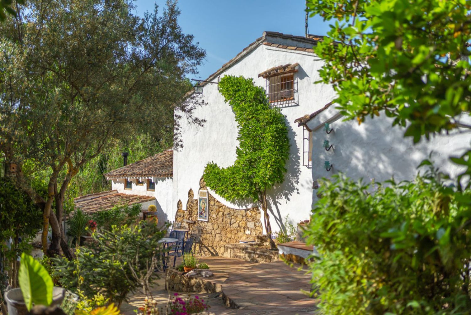 Vista exterior de Finca rústica en venda en Zahara amb Jardí privat, Terrassa i Piscina