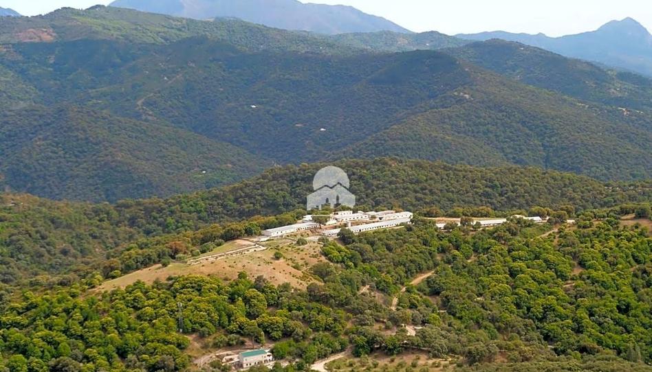 Foto 1 de Finca rústica en venda a Alpandeire, Málaga