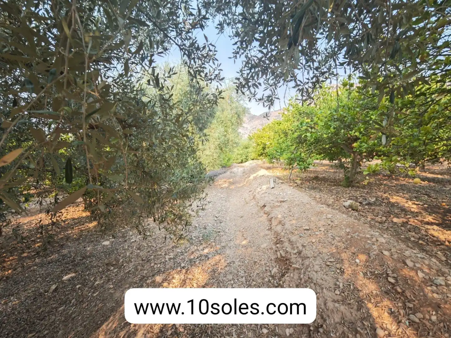 Country house with garden for sale in Montepinar - La Aparecida - Raiguero, imagen 29