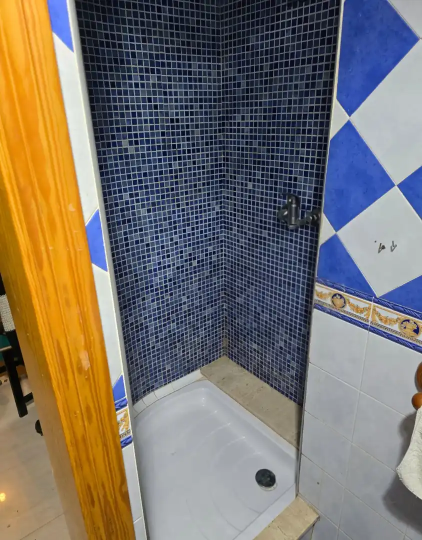 Bany de Casa o xalet en venda en Algemesí