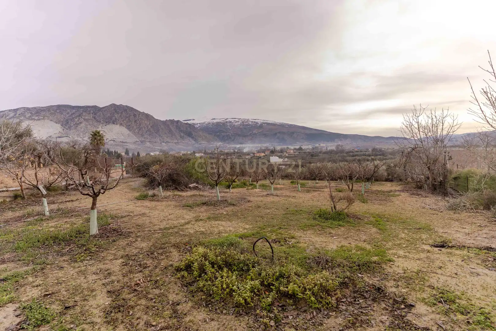 Casa o chalet en venta en Dúrcal con Jardín privado