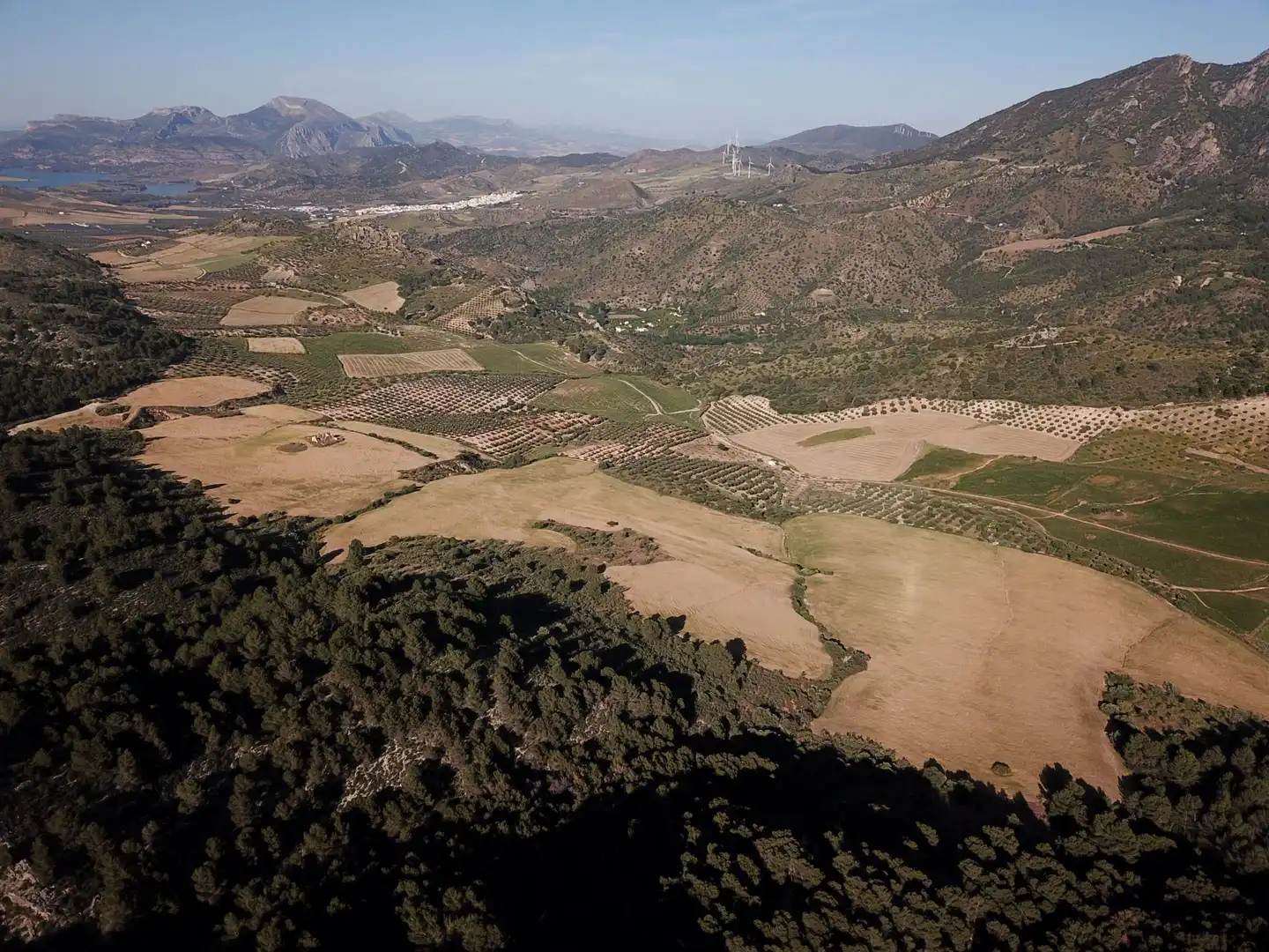 Terreno residenziale in vendita a Ardales, imagen 35