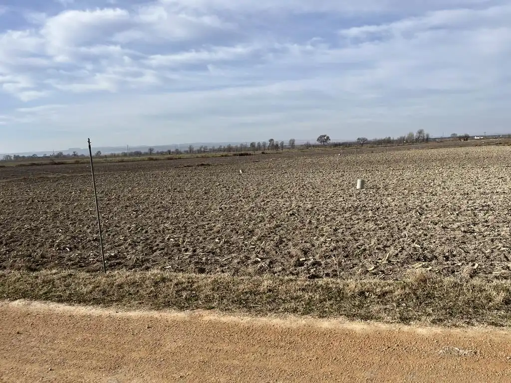 Terreno rustico in vendita a San Pedro, imagen 4