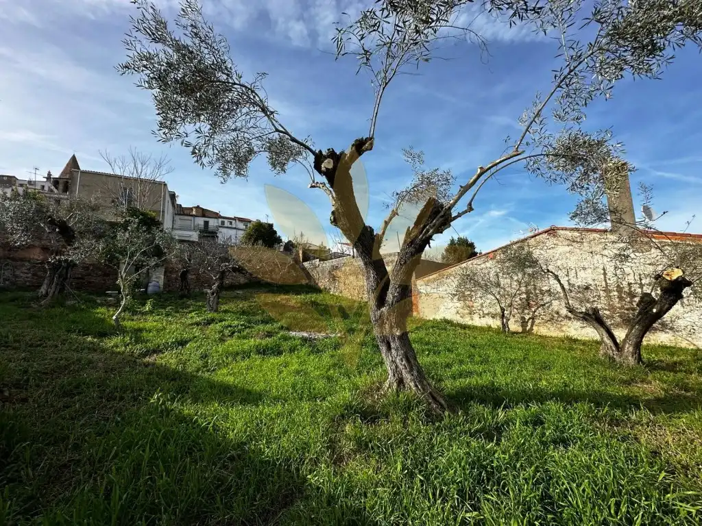 Terreni e lotti in vendita a Casco Antiguo
