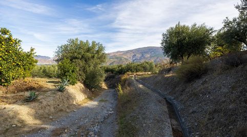 Oportunidad única! Dos Fincas rústicas de mas de 15.000 m2 en total en Pinos del Valle. VENTA JUNTAS O SEPARADAS, immagine 5