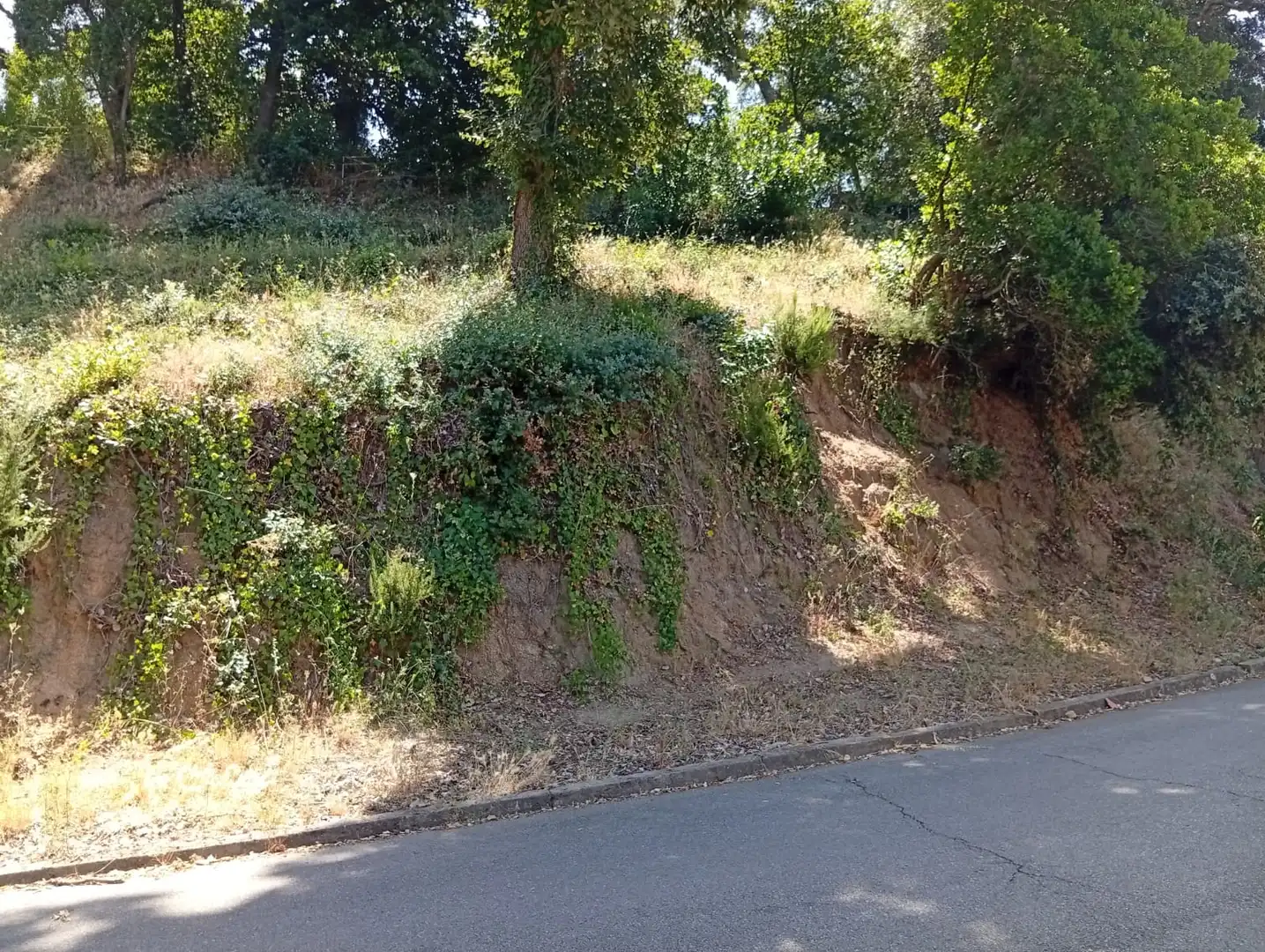 Residential for sale in Vallgorguina