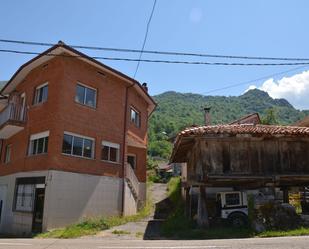 Exterior view of House or chalet for sale in Oseja de Sajambre  with Terrace and Swimming Pool