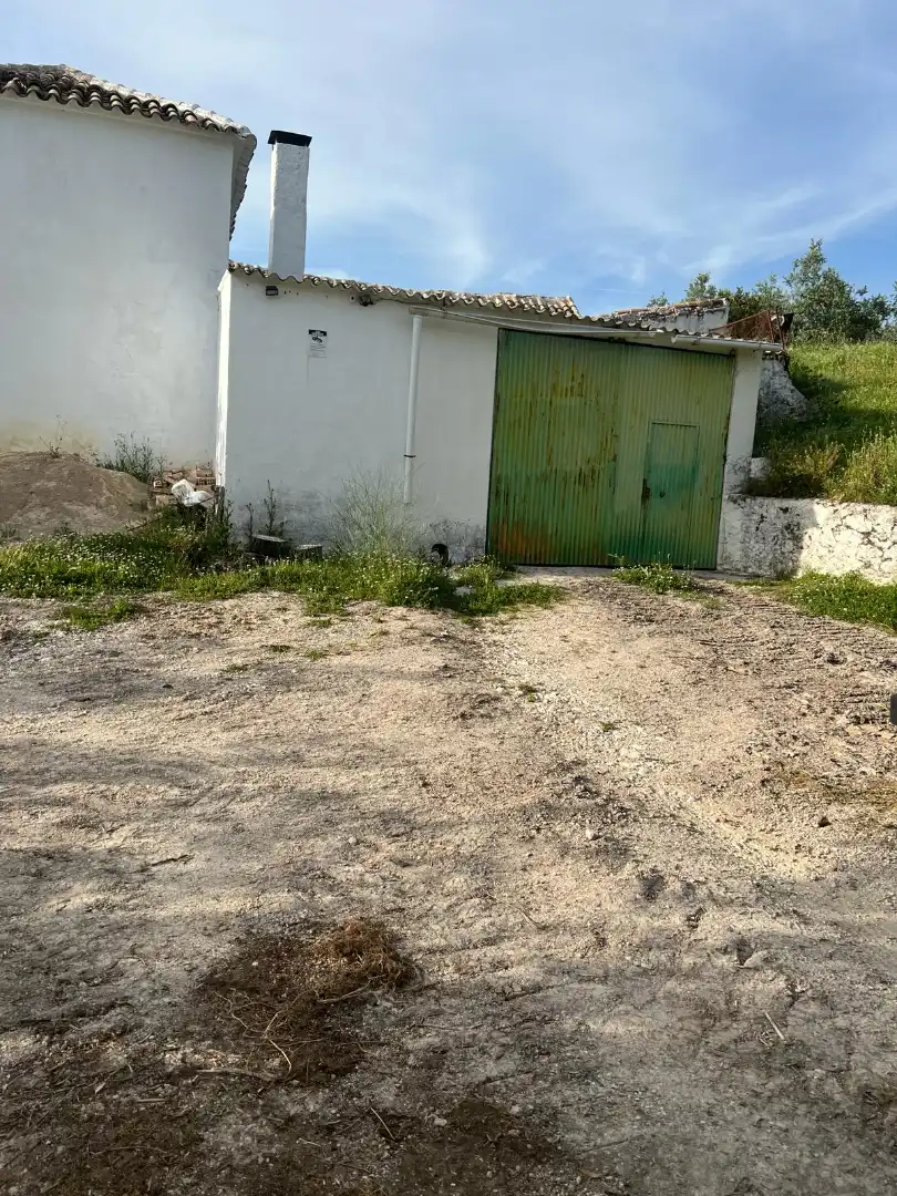 Terreno rustico in vendita a Cabra, imagen 6
