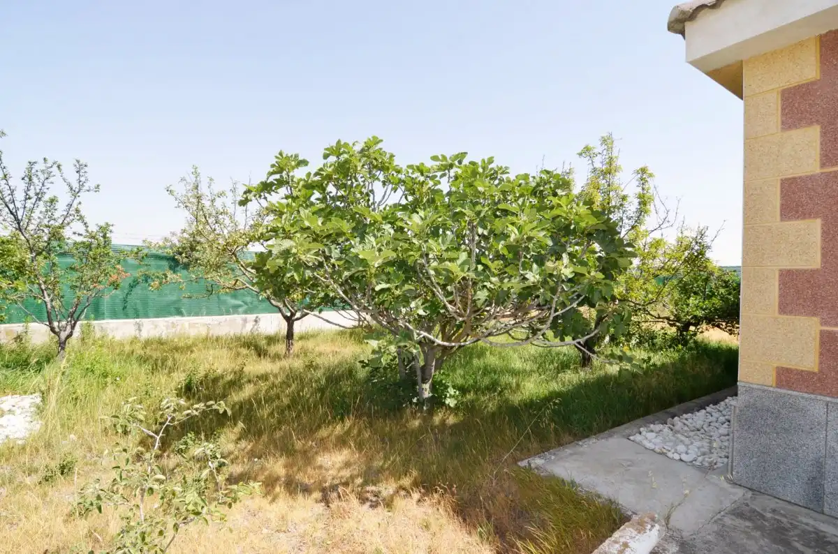 Jardí de Casa o xalet en venda en Calvarrasa de Abajo amb Terrassa, Piscina i Moblat
