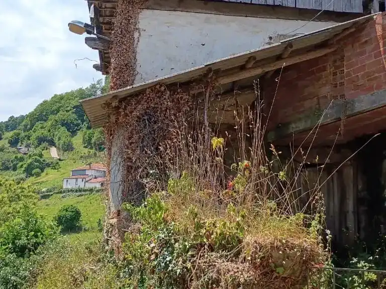 Vista exterior de Finca rústica en venda en Tineo