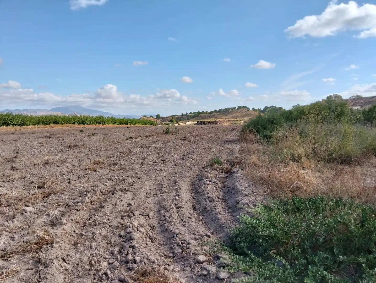 Lands and plots for sale in Mula, imagen 37