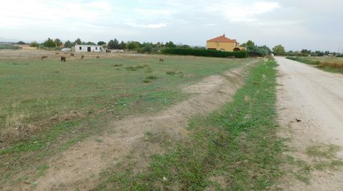 PARCELA RUSTICA EN LAS ARENAS, imagen 3