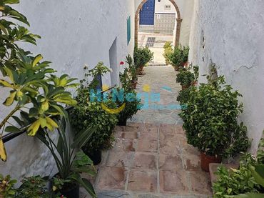 Terreno residenziale in vendita a Canillas de Albaida