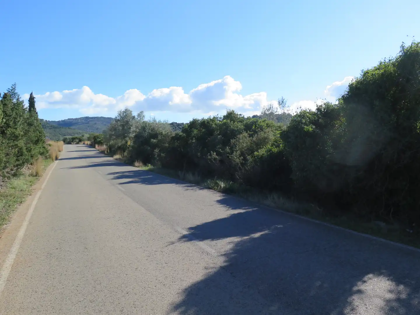Rural land for sale in Godall, imagen 2