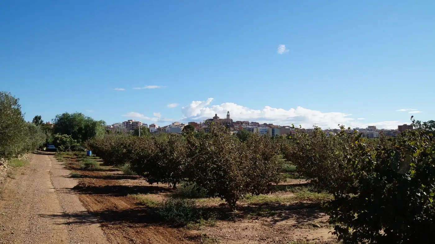 Vista exterior de Finca rústica en venda en Constantí amb Jardí privat, Terrassa i Moblat