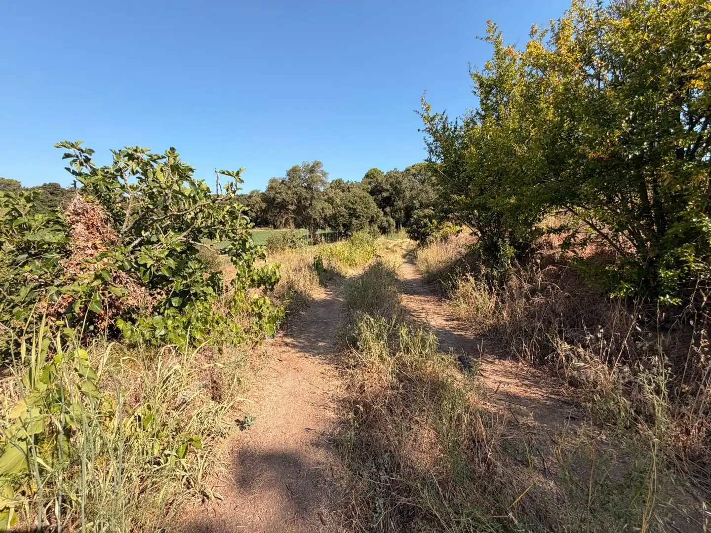 Terreno rustico in vendita a Tordera pueblo, imagen 12