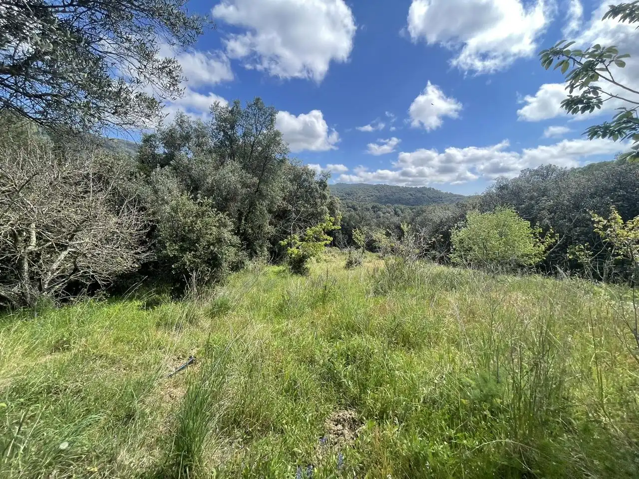Country homes for sale in Sant Iscle de Vallalta  with Private garden, Terrace and Swimming Pool