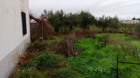 Foto 2 de Casa o chalet en venta en Don Benito, Badajoz