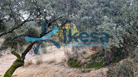 Photo 2 of Country house for sale in Alcaracejos, Córdoba